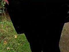 Kaveri nussi bespectacled kollega