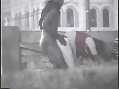 Cumshot kolmikko