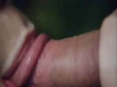 Brandi opettaa kota skye vittu